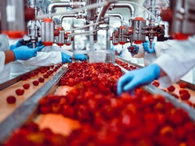 Modern Food Plant Teeming With Work While Workers Sort Cherry Peppers For Cheese Stuffing